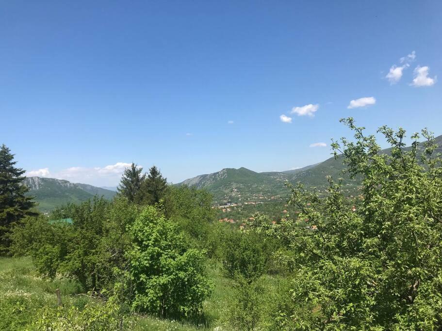 Nikšić Grandma'S Hut 빌라 외부 사진